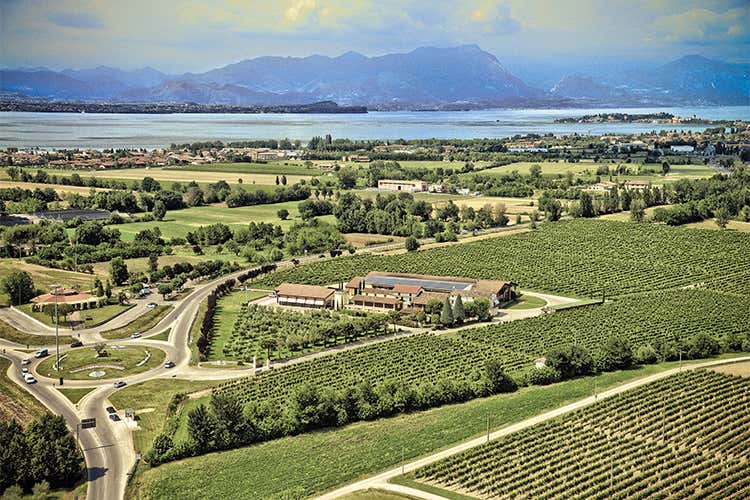 Cà Maiol è talento ed esperienza Vini espressione di un territorio unico Cà Maiol è talento ed esperienza Vini espressione di un territorio unico