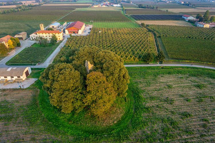 (Cà di Rajo, il vino diventa storia La tecnica utilizza risale all’Ottocento) (Cà di Rajo, il vino diventa storia La tecnica utilizza risale all’Ottocento)