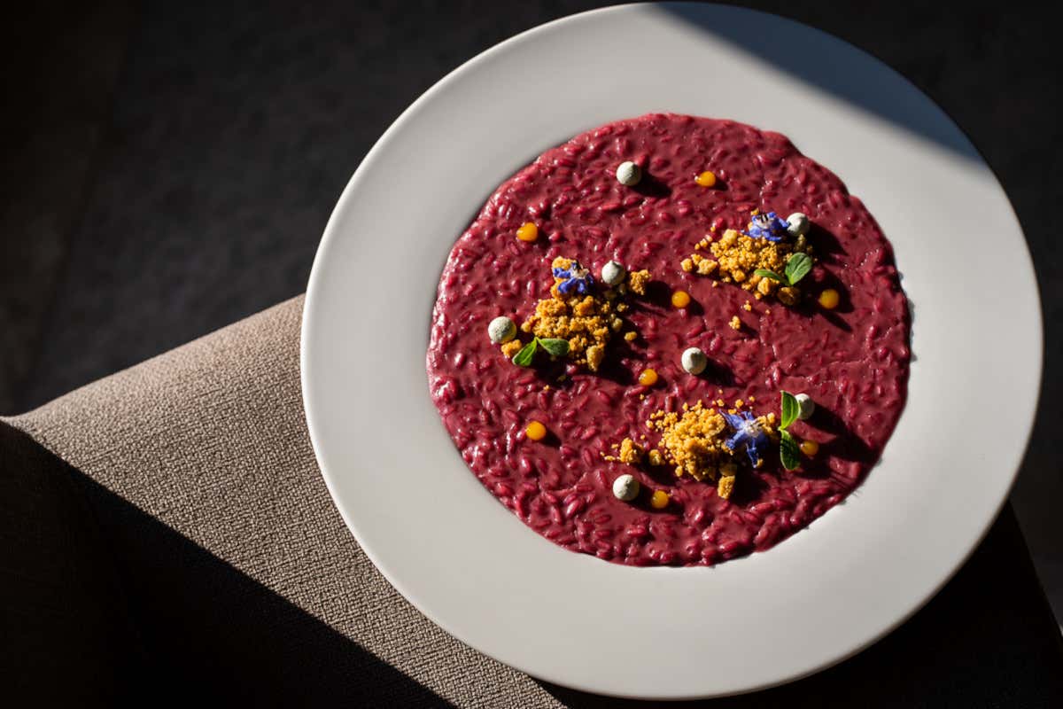 Ca' del Moro: quando il vino incontra la cucina d'autore in Valpantena