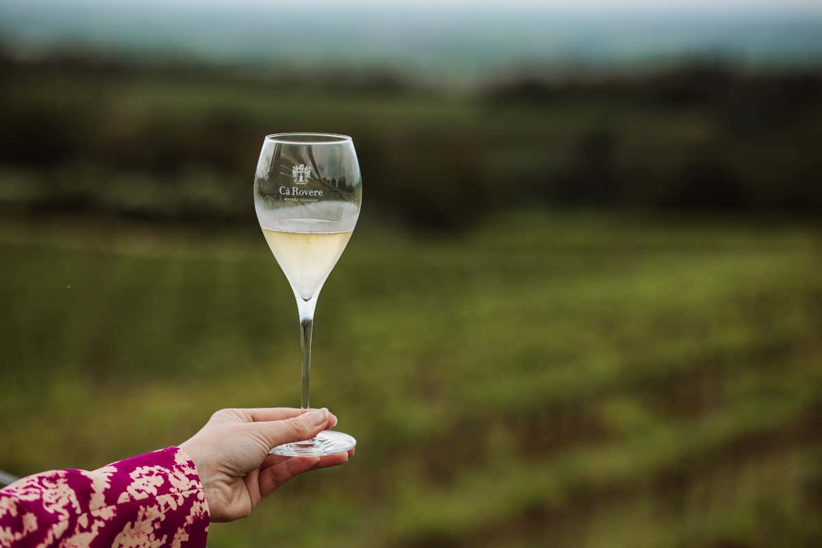 Ca' Rovere: una terrazza panoramica sui vigneti dei Colli Berici