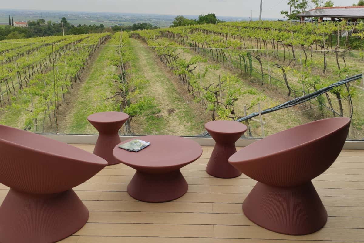 Ca' Rovere: una terrazza panoramica sui vigneti dei Colli Berici Ca' Rovere: una terrazza panoramica sui vigneti dei Colli Berici