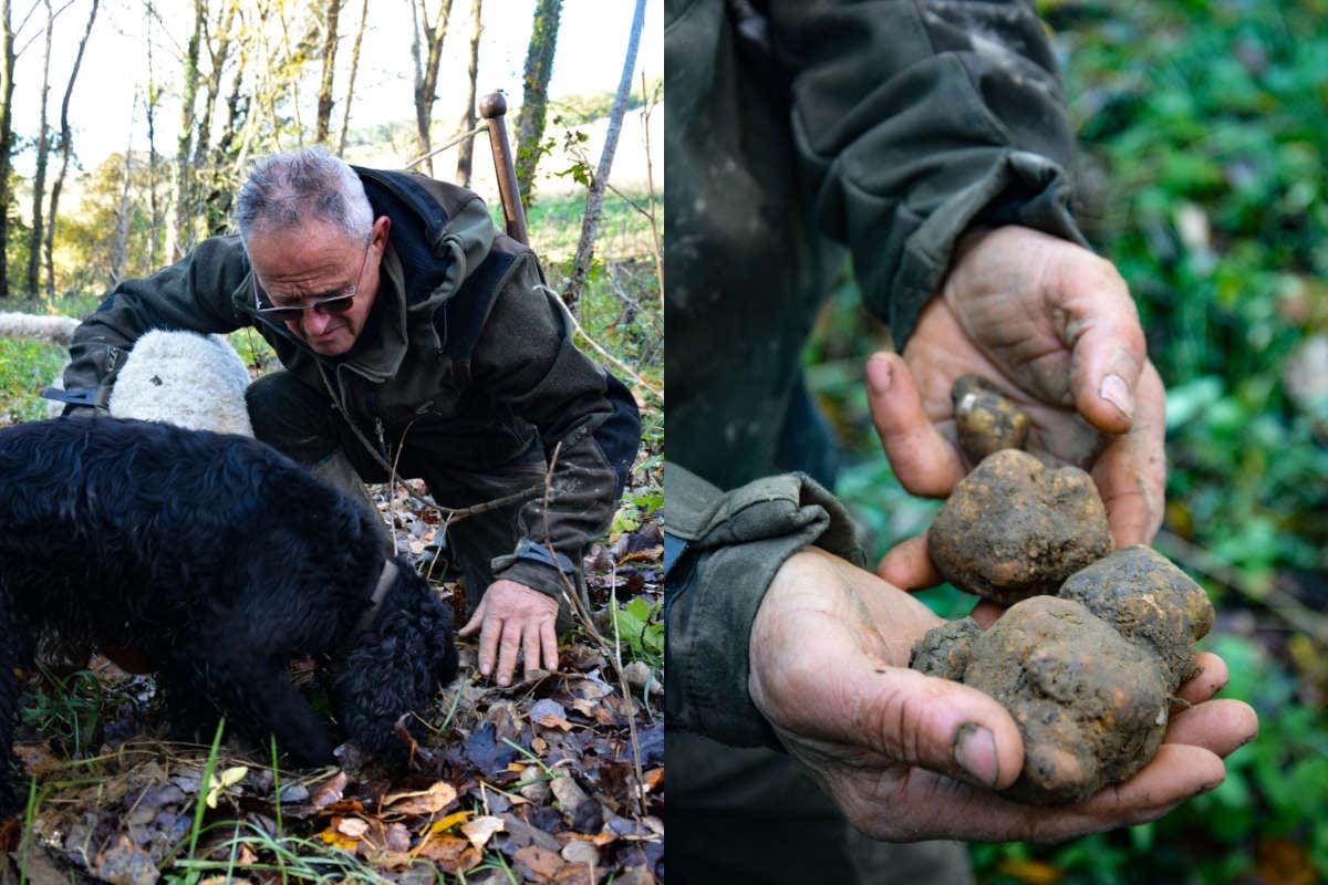 Orcia Doc, tradizione ed alta enologia tra le colline senesi