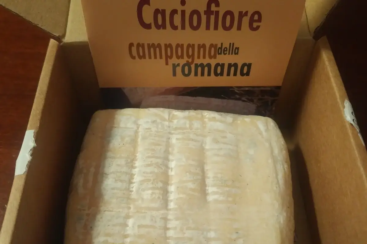Il formaggio Caciofiore, presidio Slow food Viaggio alla scoperta del Caciofiore, formaggio dal sapore antico