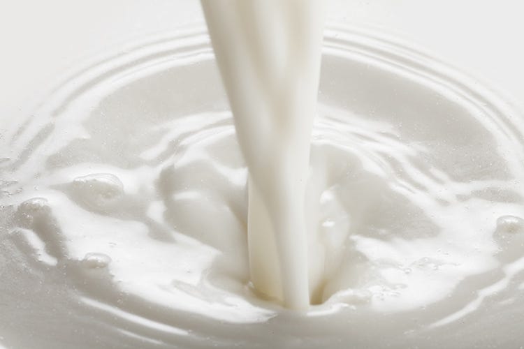 Stop all'import di latte straniero in questa situazione di emergenza - Latte, 5,7 milioni di litri dall'estero Prandini: Fermiamo le speculazioni
