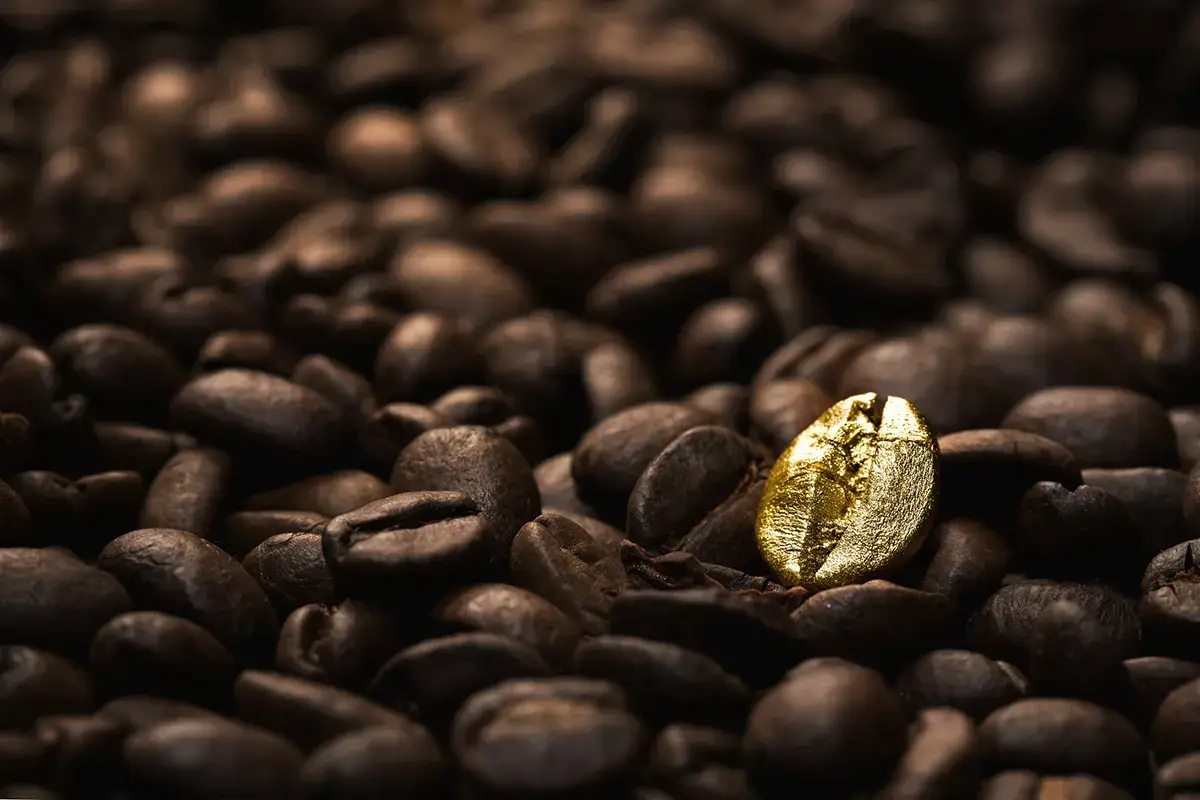Corre il prezzo della tazzina Caff&egrave; nero&hellip; salato: a Trento l&rsquo;espresso al bar costa 1,25 euro