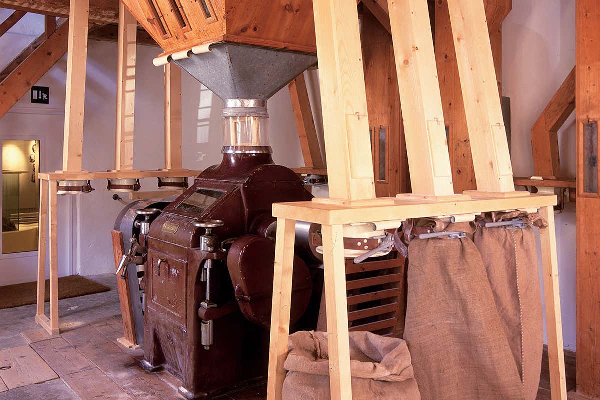 Impianto caffé lupini. Parco Monte Corno. Foto: Ufficio Natura Chi non ama le atmosfere autunnali? Idee per un settembre magico in Alto Adige