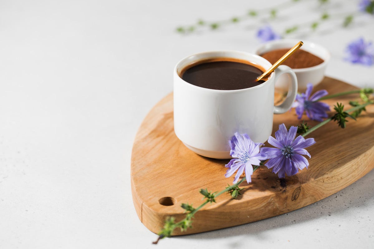 Una tazza di caffè… di cicoria: ecco i benefici per la salute