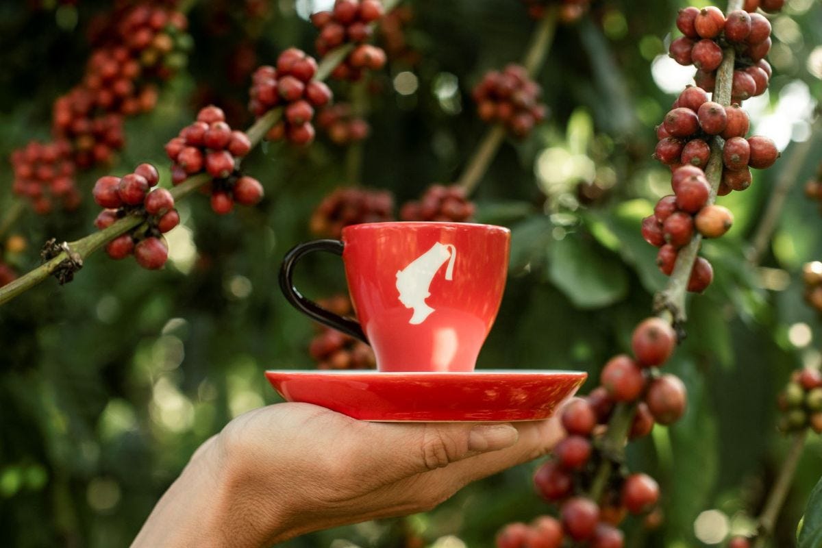 World Coffee Day: Julius Meinl ora sostiene anche i coltivatori di caffè ugandesi
