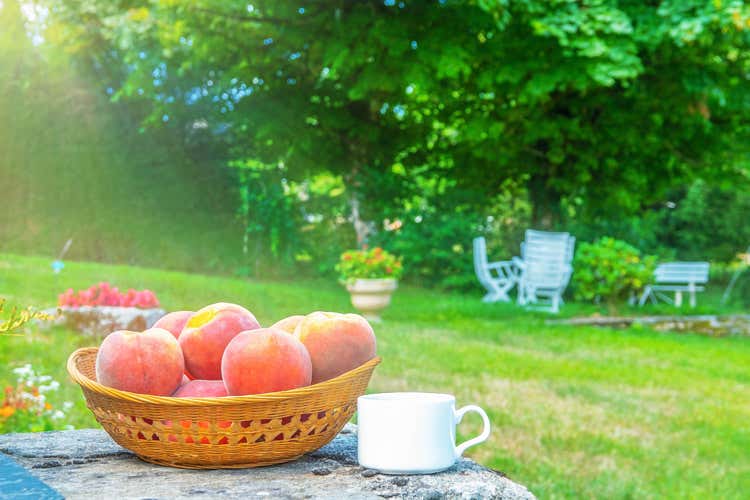 Le temperature torride hanno fatto impennare gli acquisti di frutta e verdura (Caldo, vendite di frutta su del 20%)