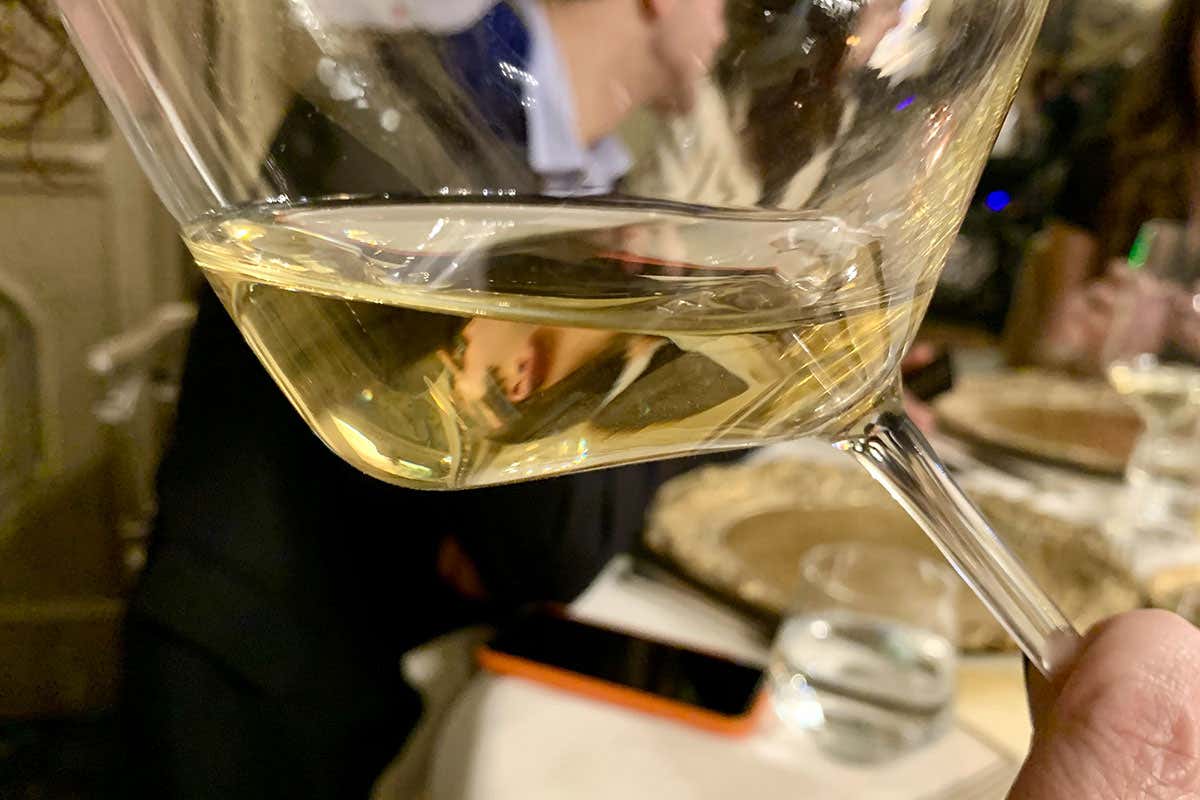 Tenuta La Scolca, ‘il Gavi’ a Gavi da 105 anni e 5 generazioni 