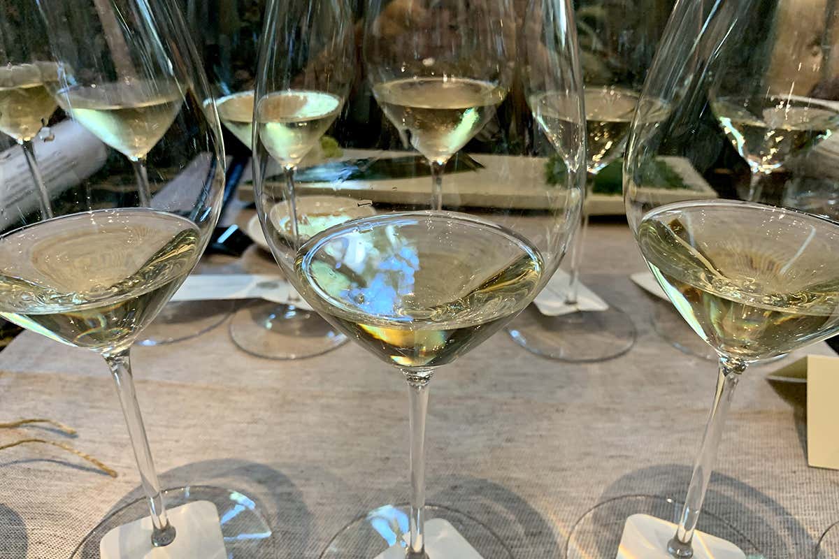 Calici di Vermentino Doc Maremma Toscana Vermentino Doc Maremma Toscana, un rosso vestito da bianco