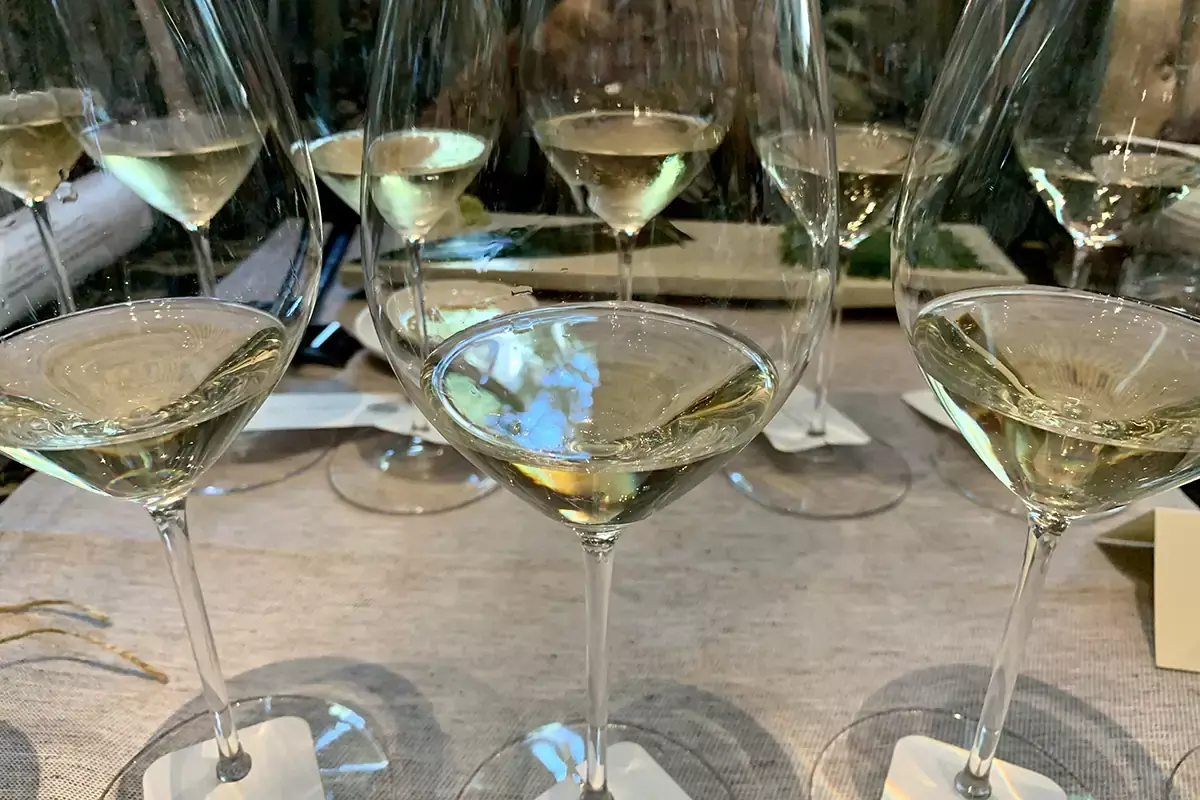 Calici di Vermentino Doc Maremma Toscana Vermentino Doc Maremma Toscana, un rosso vestito da bianco