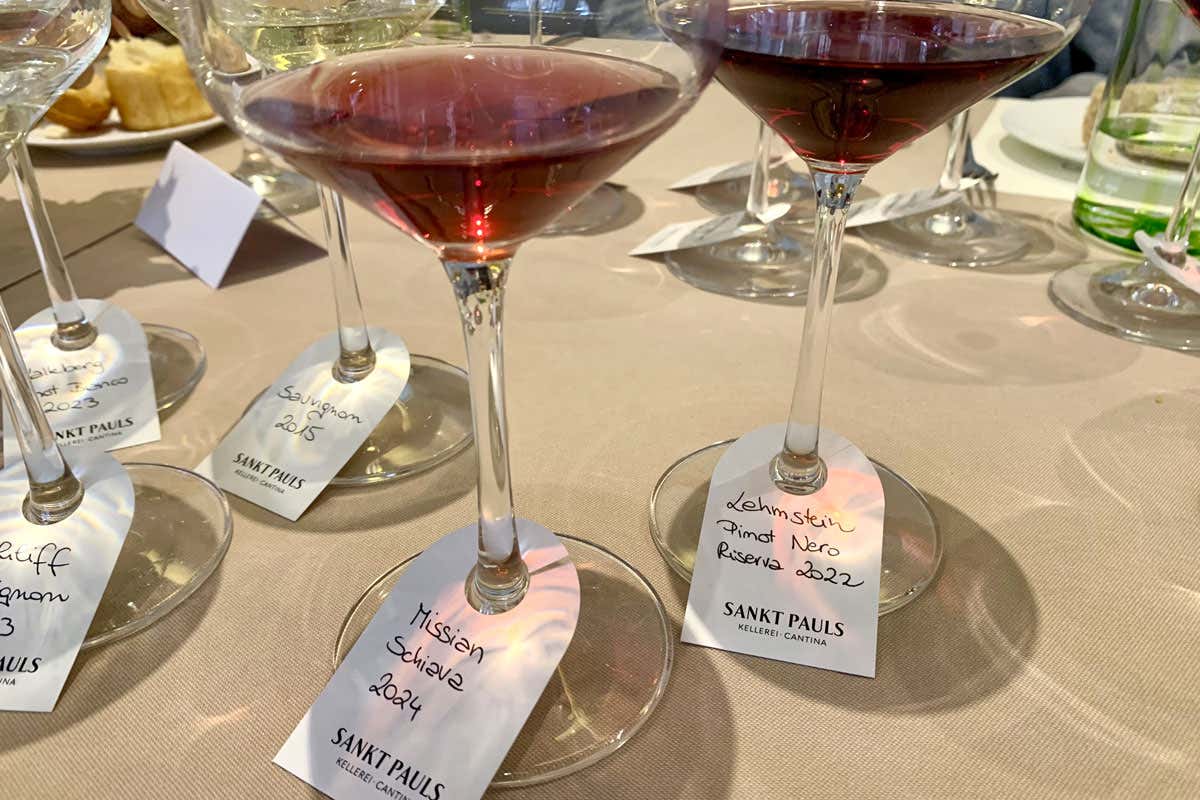 Sankt Pauls, la storica cantina punta su freschezza ed eleganza nei top di gamma