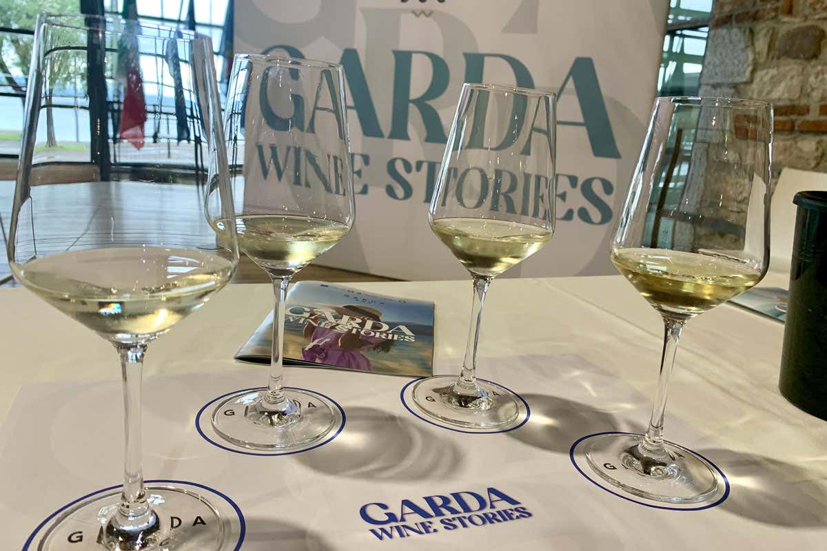 Consorzio Garda Doc tra vini low alcol, enoturismo e nuovi consumatori Consorzio Garda Doc tra vini low alcol, enoturismo e nuovi consumatori