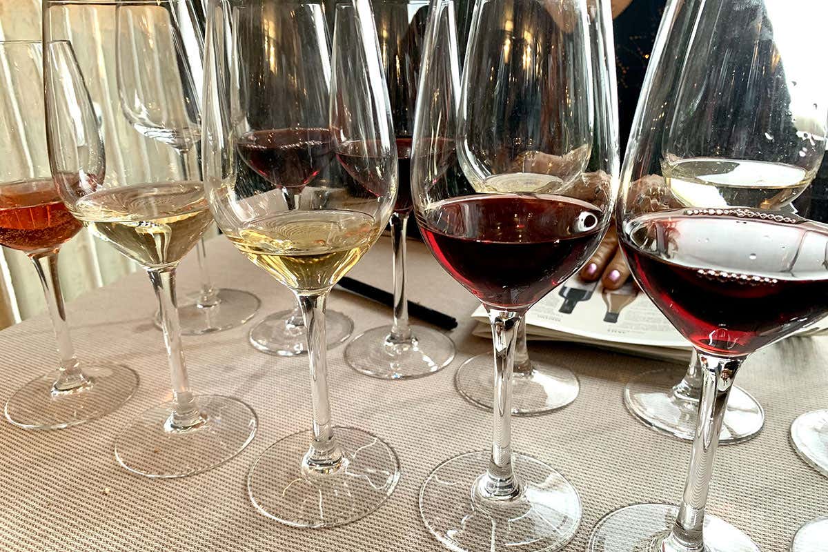 Sfilata cromatica di calici Pomario Pomario una cantina nata per caso Sfilata cromatica di calici Pomario Pomario una cantina nata per caso