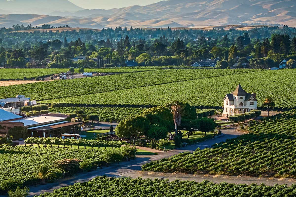 California e vendemmia: viaggio enogastronomico tra le cantine del Golden State
