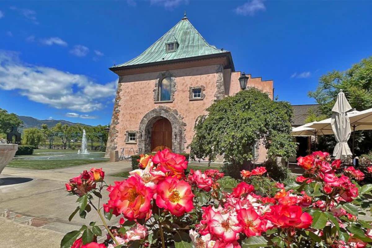 California e vendemmia: viaggio enogastronomico tra le cantine del Golden State