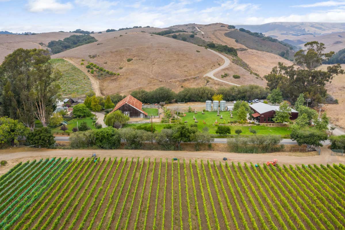 California e vendemmia: viaggio enogastronomico tra le cantine del Golden State