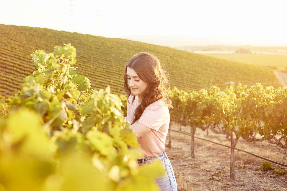 California e vendemmia: viaggio enogastronomico tra le cantine del Golden State