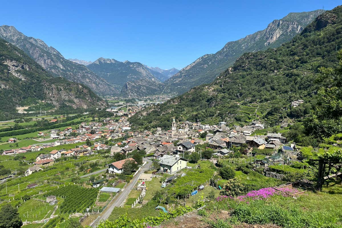 Caluso, Carema e Canavese: le tre Docg che raccontano un altro Piemonte