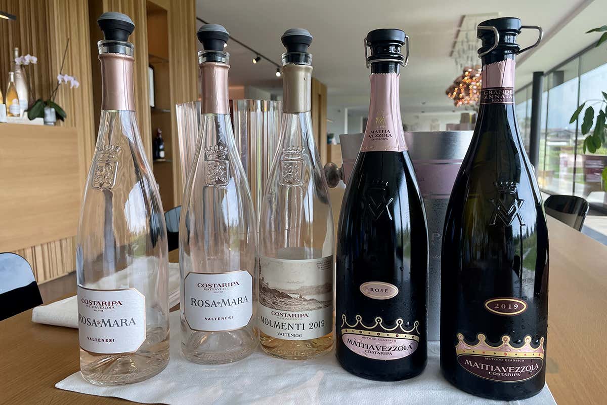 La degustazione alla Costaripa racconta l’evoluzione del rosé di Valtènesi: dal RosaMara al Molmenti fino ai Metodo Classico