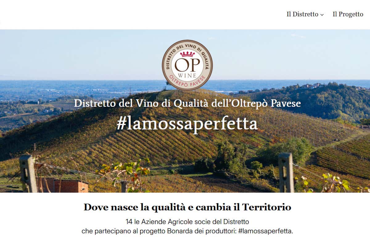 Bonarda #lamossaperfetta: il racconto digitale del rosso frizzante dell’Oltrepò