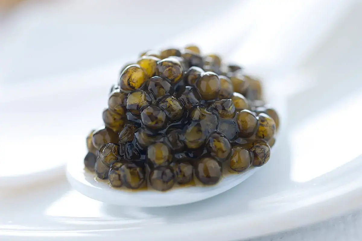 Calvisius, caviale di altissima qualit&agrave; e sostenibile