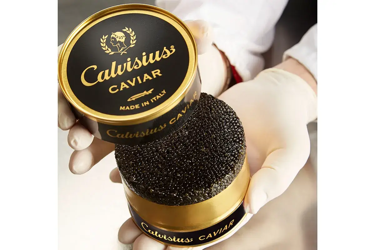 Calvisius, caviale di altissima qualit&agrave; e sostenibile