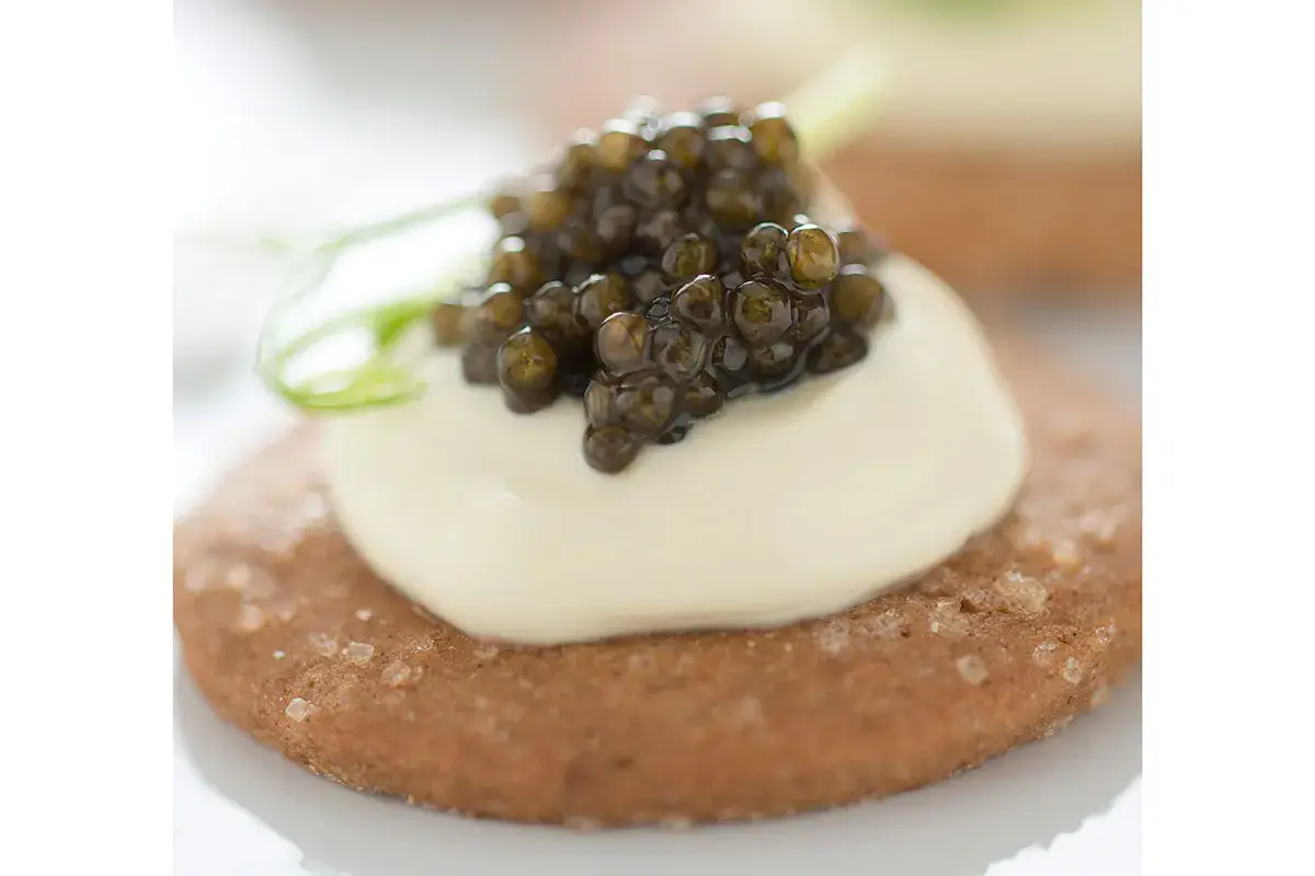 Calvisius, caviale di altissima qualit&agrave; e sostenibile