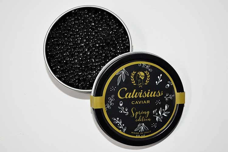 L'e-commerce di Calvisius Spring Edition è riservato all'Italia - Calvisius, una limited edition per portarsi in casa la primavera