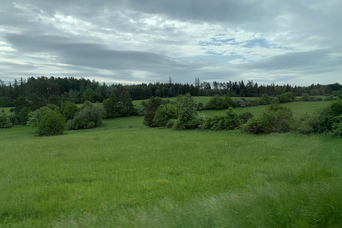 La campagna morava Roberto Brazzale: «Facciamo le cose dove riescono meglio»