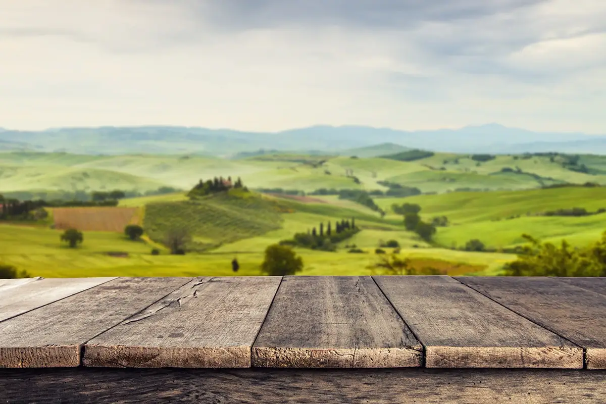 Agriturismo, ecco cosa vogliono e come prenotano i turisti