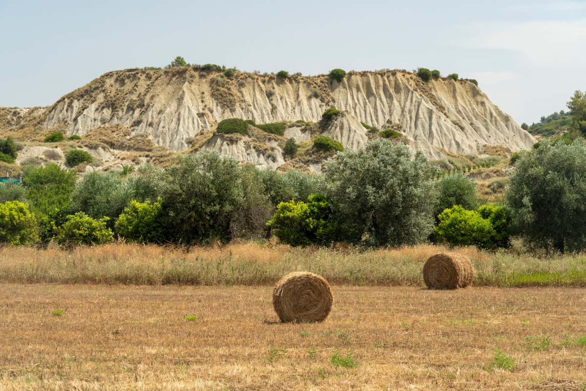 Paesaggio rurale a Policoro  Basilicata coast to coast... in bici: itinerario su due ruote in un'Italia genuina