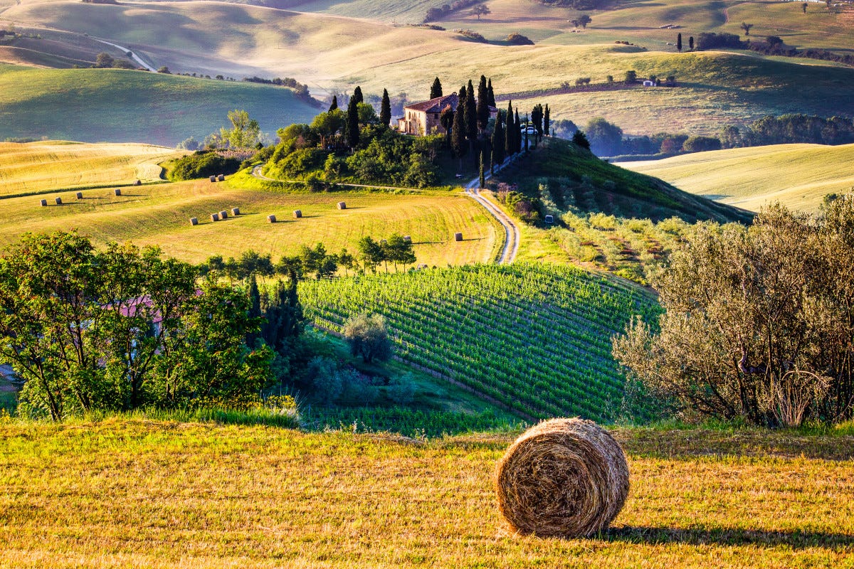 La campagna toscana (foto Di Iacomino) Turismo enogastronomia e sostenibilità: è Vetrina Toscana