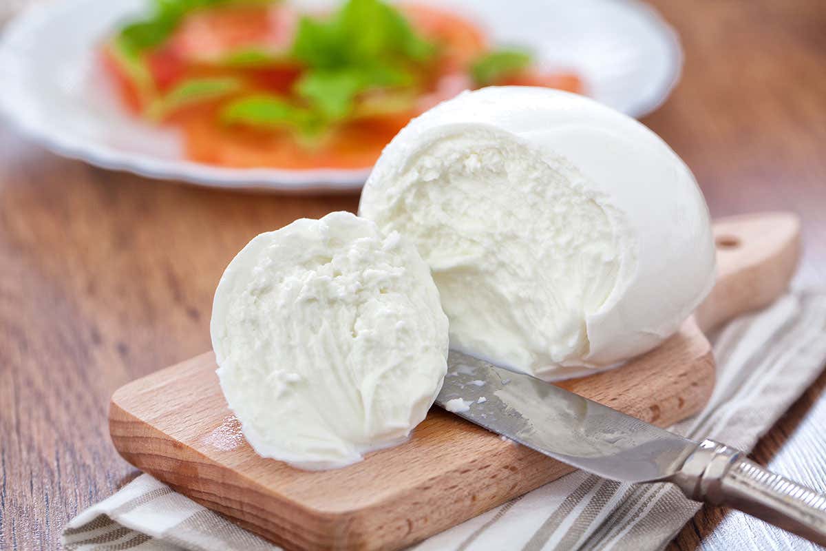 Mozzarella di bufala campana Dop Mozzarella di bufala campana Dop