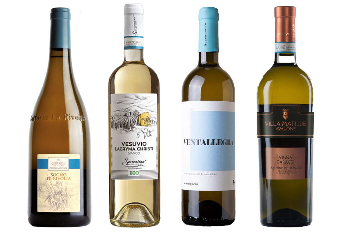 Il vino campano alla prova del mercato e alla sfida del futuro