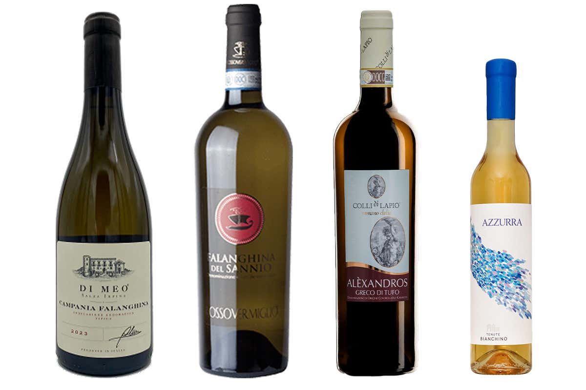 Il vino campano alla prova del mercato e alla sfida del futuro