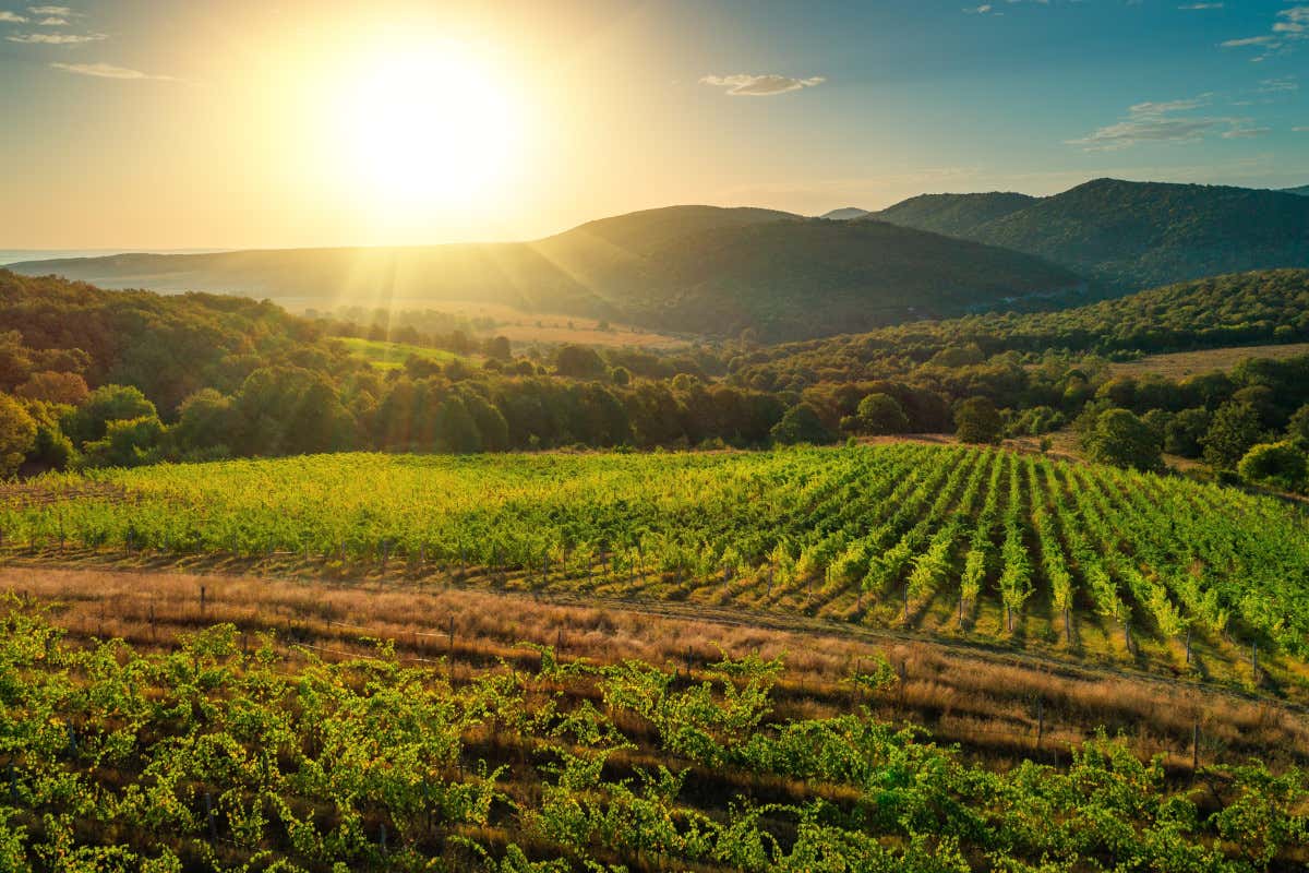 Il caldo in arrivo premia il turismo ma preoccupa l'agricoltura