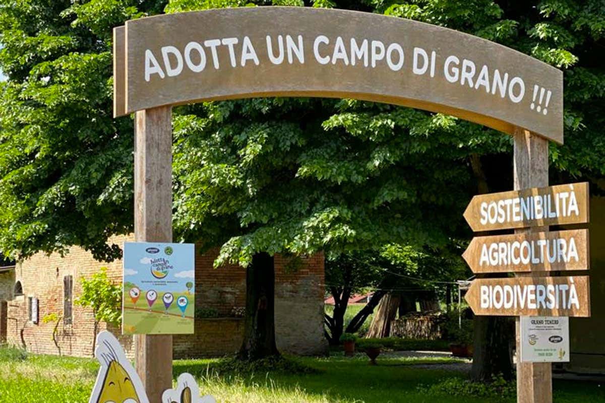 Molini Pivetti presenta il secondo Report di Sostenibilità 