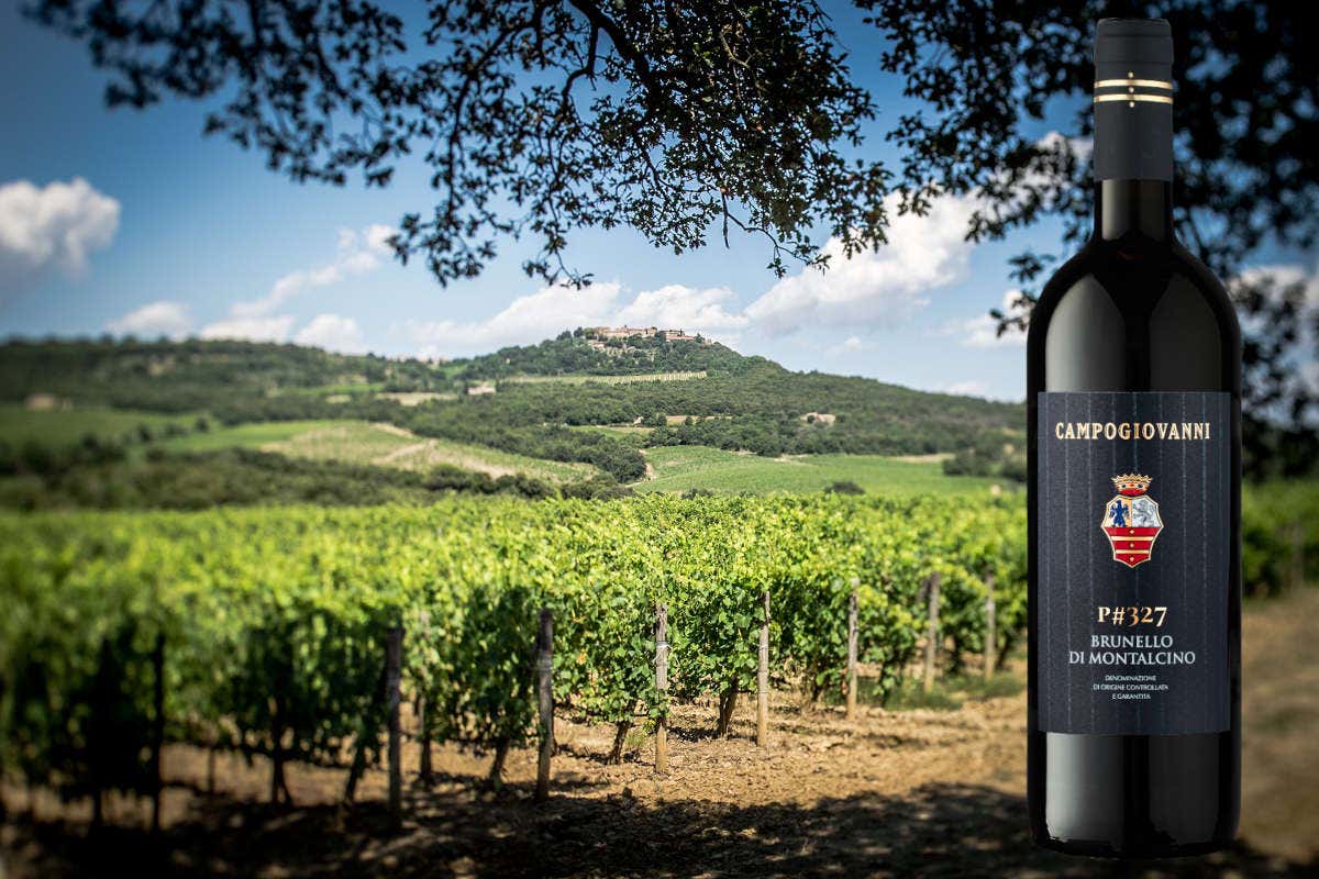 P#327, la particella che ha dato vita al nuovo Brunello di Campogiovanni