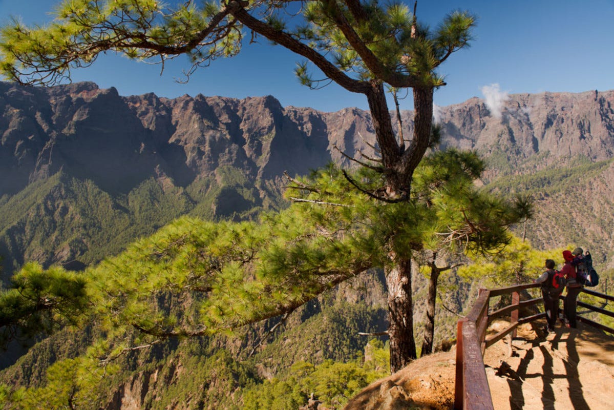 Escursioni a La Palma Canarie, una vacanza dinamica tra riserve naturali, Oceano e vulcani