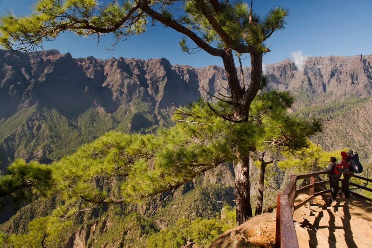 Escursioni a La Palma Canarie, una vacanza dinamica tra riserve naturali, Oceano e vulcani