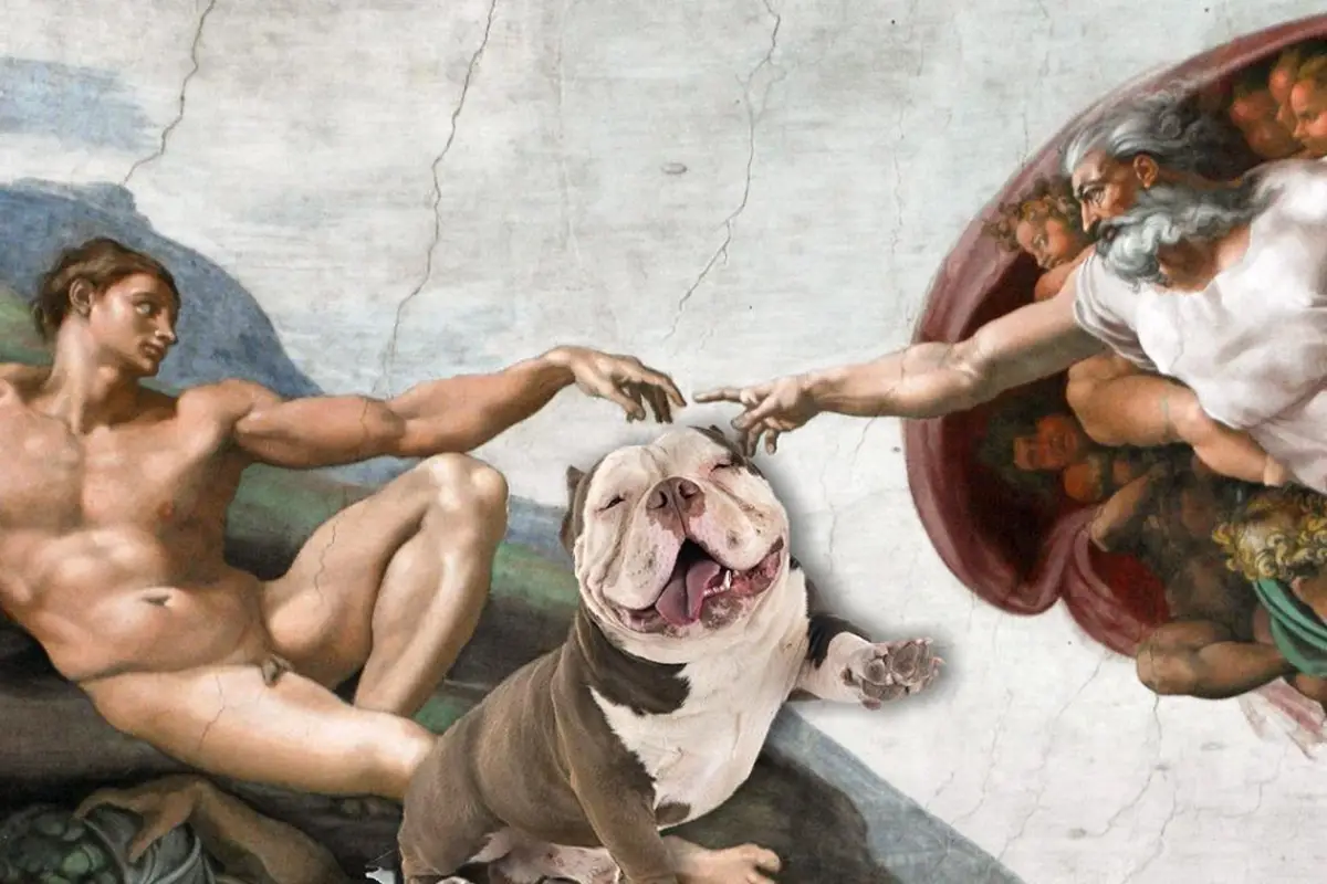 Partono i primi servizi di dog sitter per i musei pi&ugrave; importanti Con il cane al muso? Arriva i servizi di dog sitter