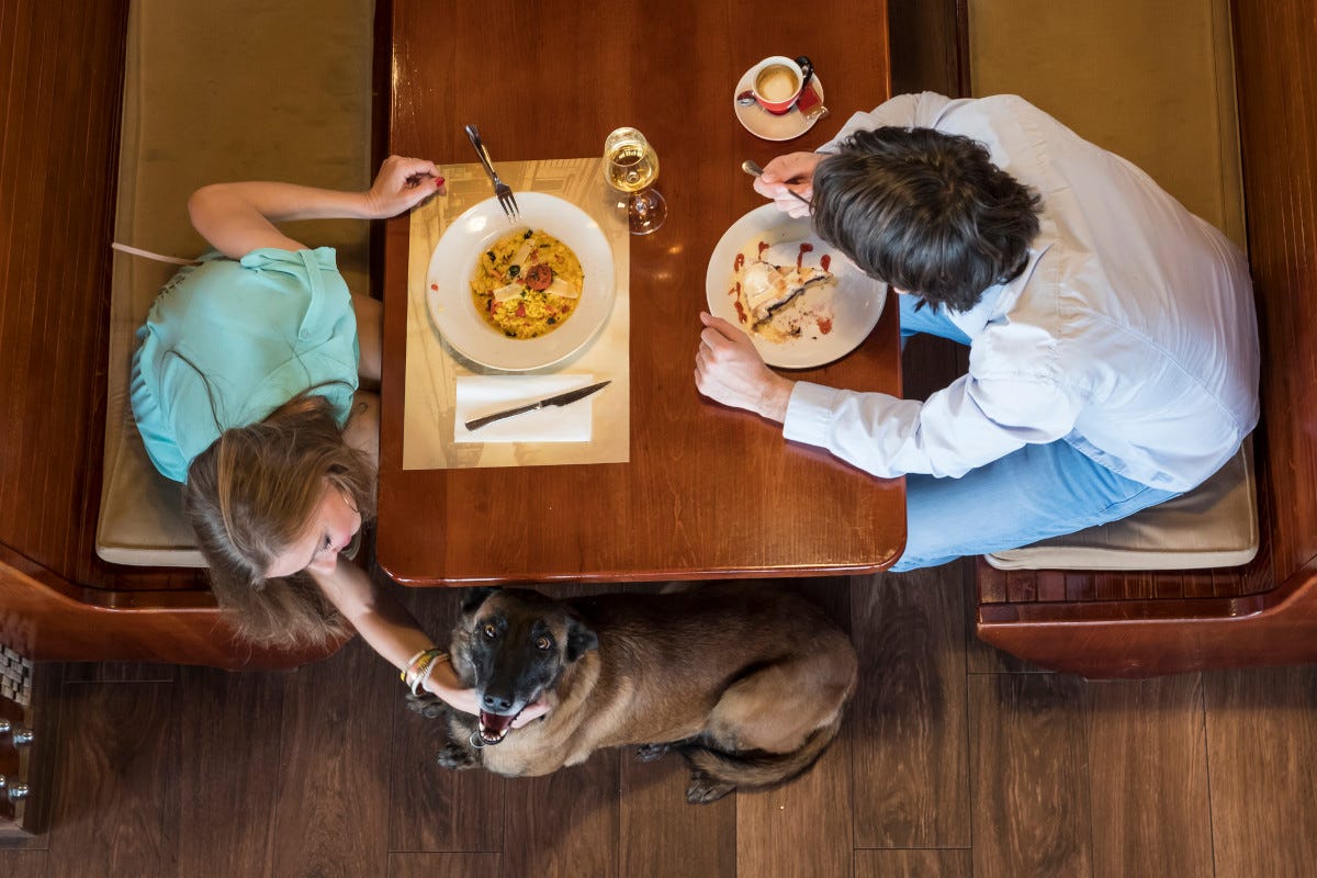 A tavola con Fido: ecco regole e consigli per andare col cane al ristorante