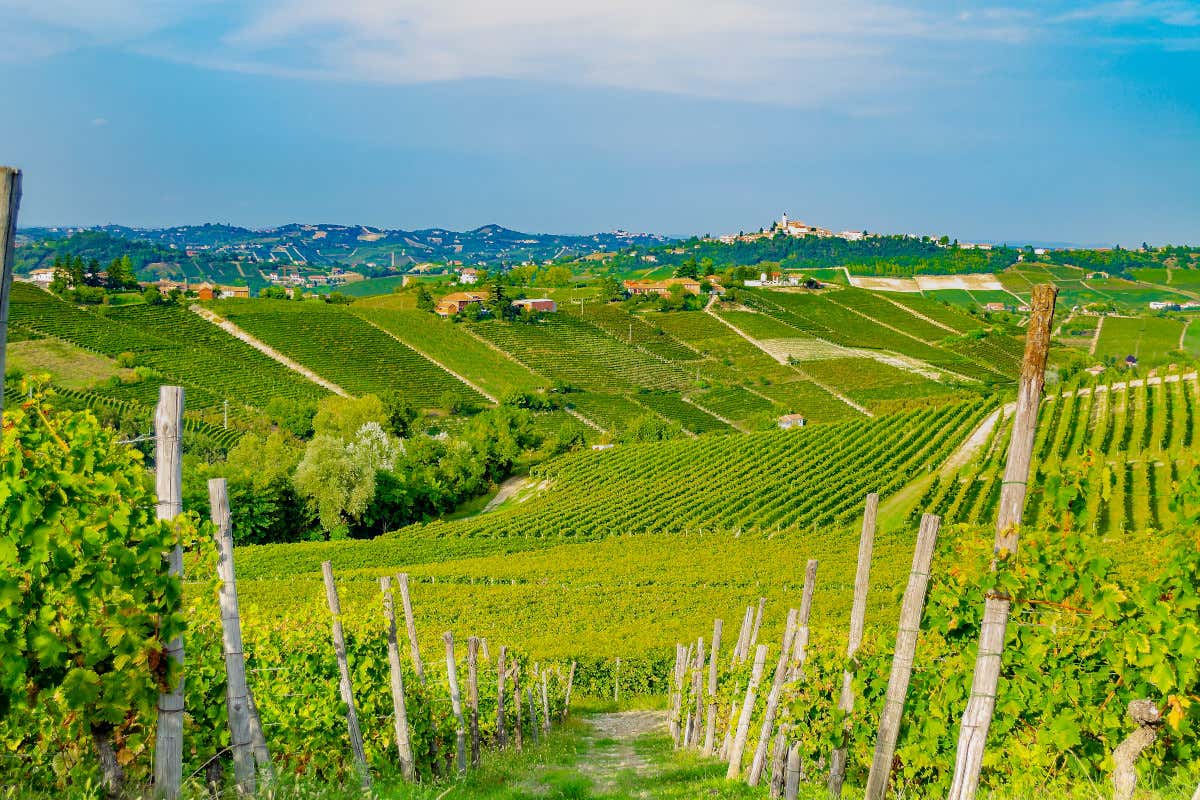 L'Italia raggiunge 884 riconoscimenti europei con la Dop Canelli L'Italia raggiunge 884 riconoscimenti europei con la Dop Canelli