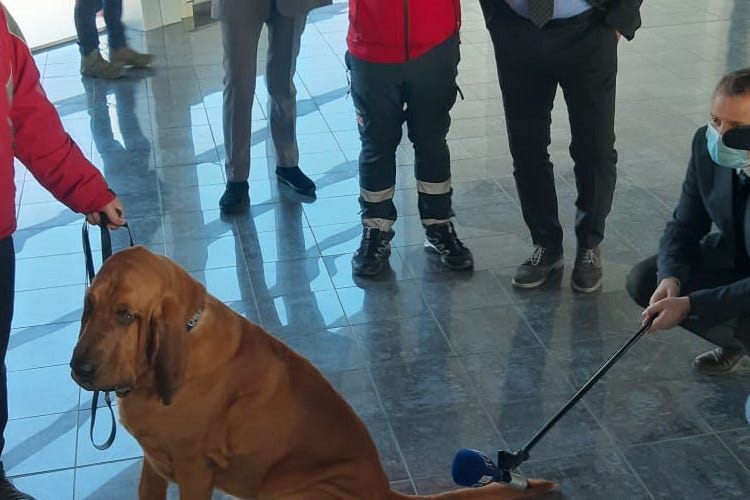 Cani anticovid all'aeroporto di Cuneo. Progetto pilota della Regione Piemonte