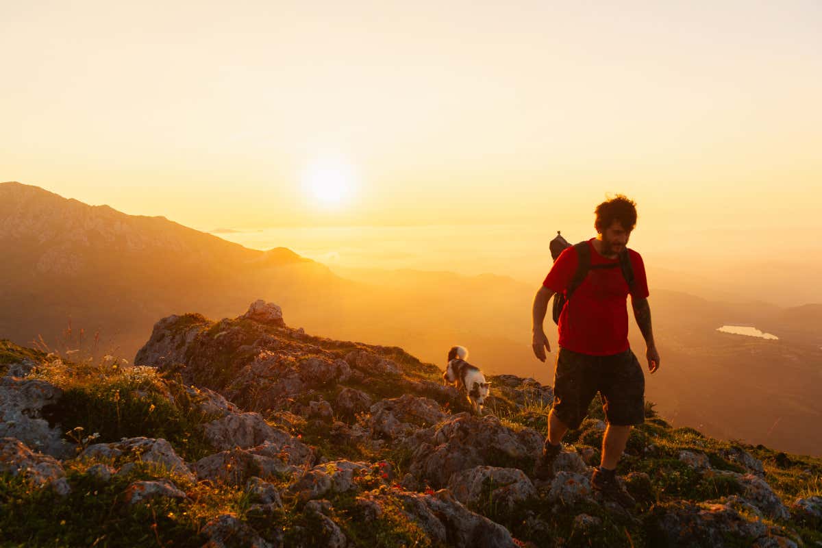 Rifugi alpini e cani: il caso del Trentino che divide escursionisti e gestori Rifugi alpini e cani: il caso del Trentino che divide escursionisti e gestori