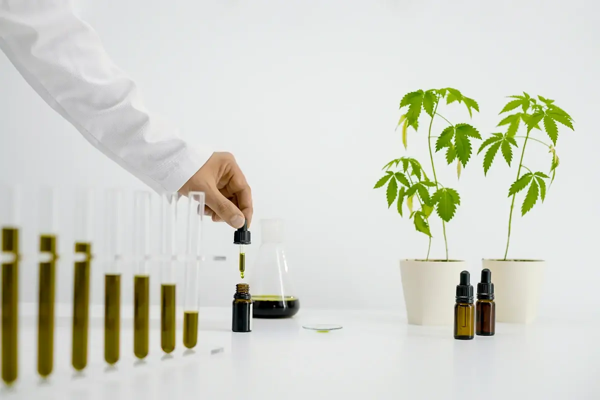 Cose da considerare prima di usare la cannabis terapeutica