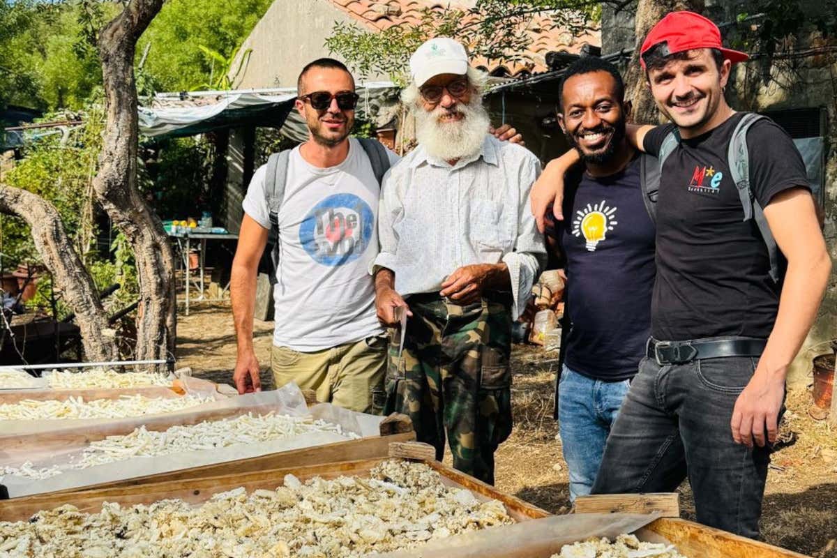 La manna al posto dello zucchero: a Palermo il cannolo più raro d’Italia