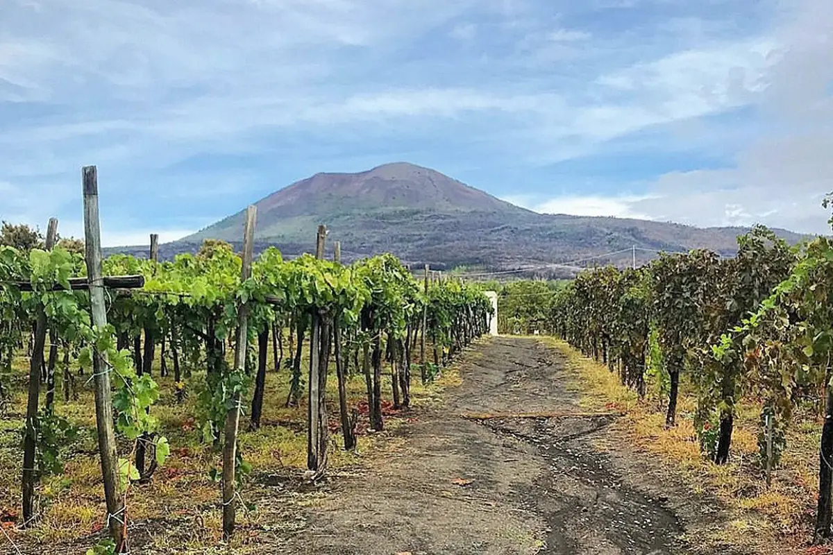 Cantina del Vesuvio